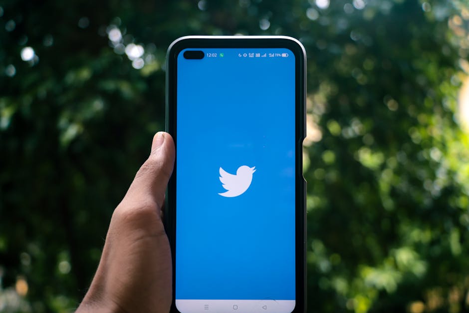 Hướng dẫn 4 bước Twitter Like Twitter tại tangsublike.com